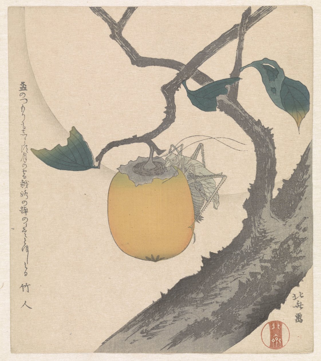 Kaki fruta com gafanhoto de Katsushika Hokusai