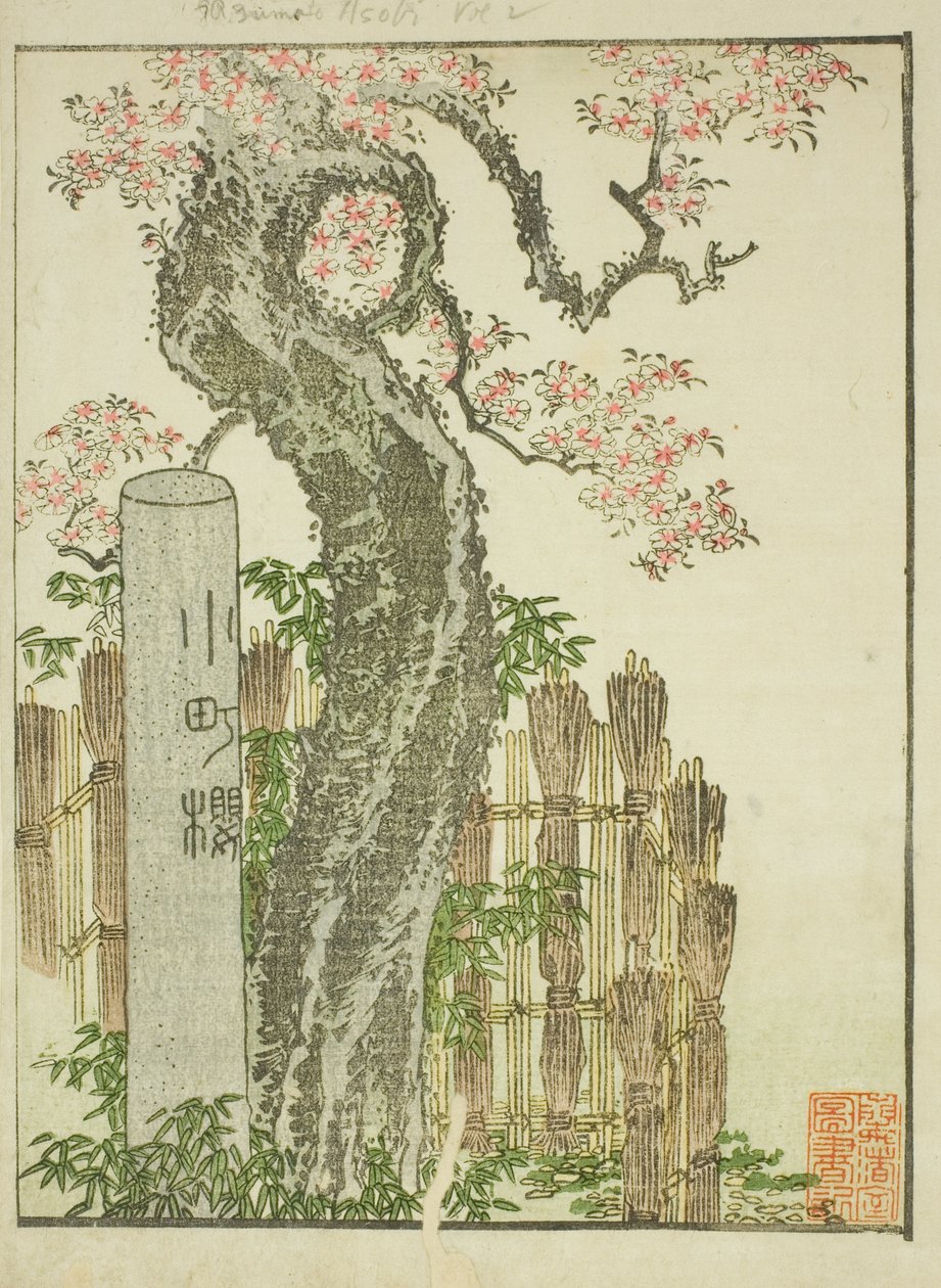 Komachi Cherry Tree (Komachi zakura), do livro ilustrado "Livro de imagens de diversões do Oriente (Ehon Azuma asobi)" de Katsushika Hokusai