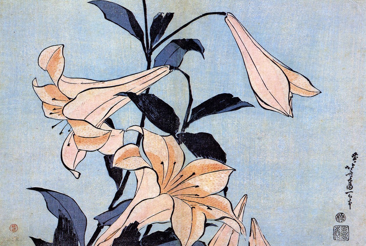 "Lys" Estampe de Katsushika Hokusai (1760-1849) (ecole ukiyo-e) vers 1830 State A Pushkin Museum of Fine Arts, Moscou de Katsushika Hokusai