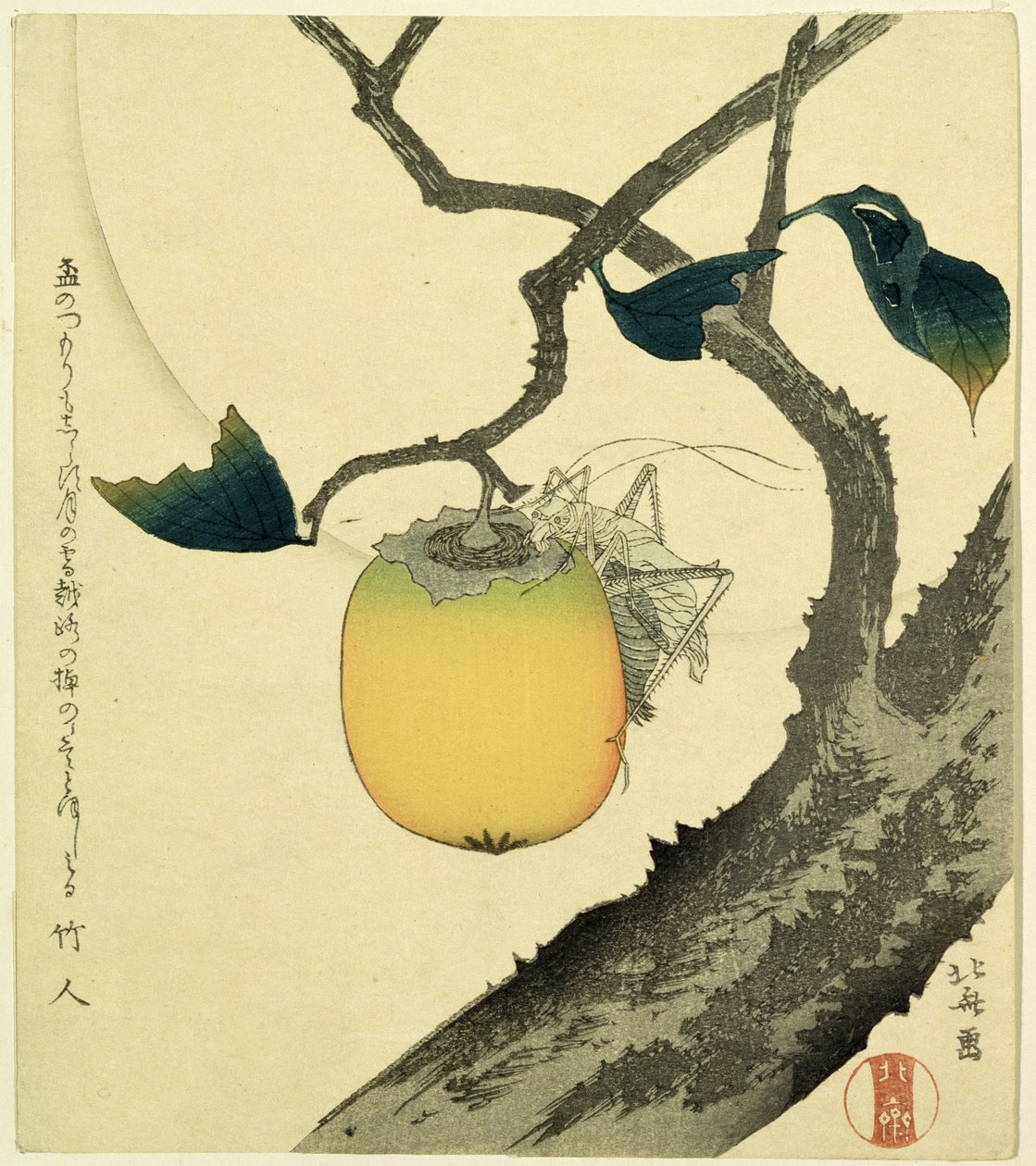 Lua, caqui e gafanhoto, 1807 (cor xilogravura) de Katsushika Hokusai