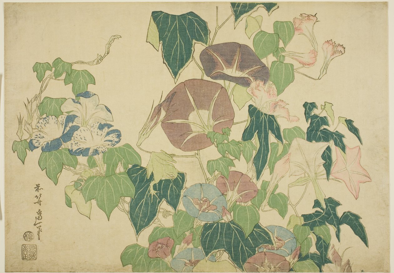 Morning Glories and Tree-frog, de uma série sem título de Large Flowers de Katsushika Hokusai