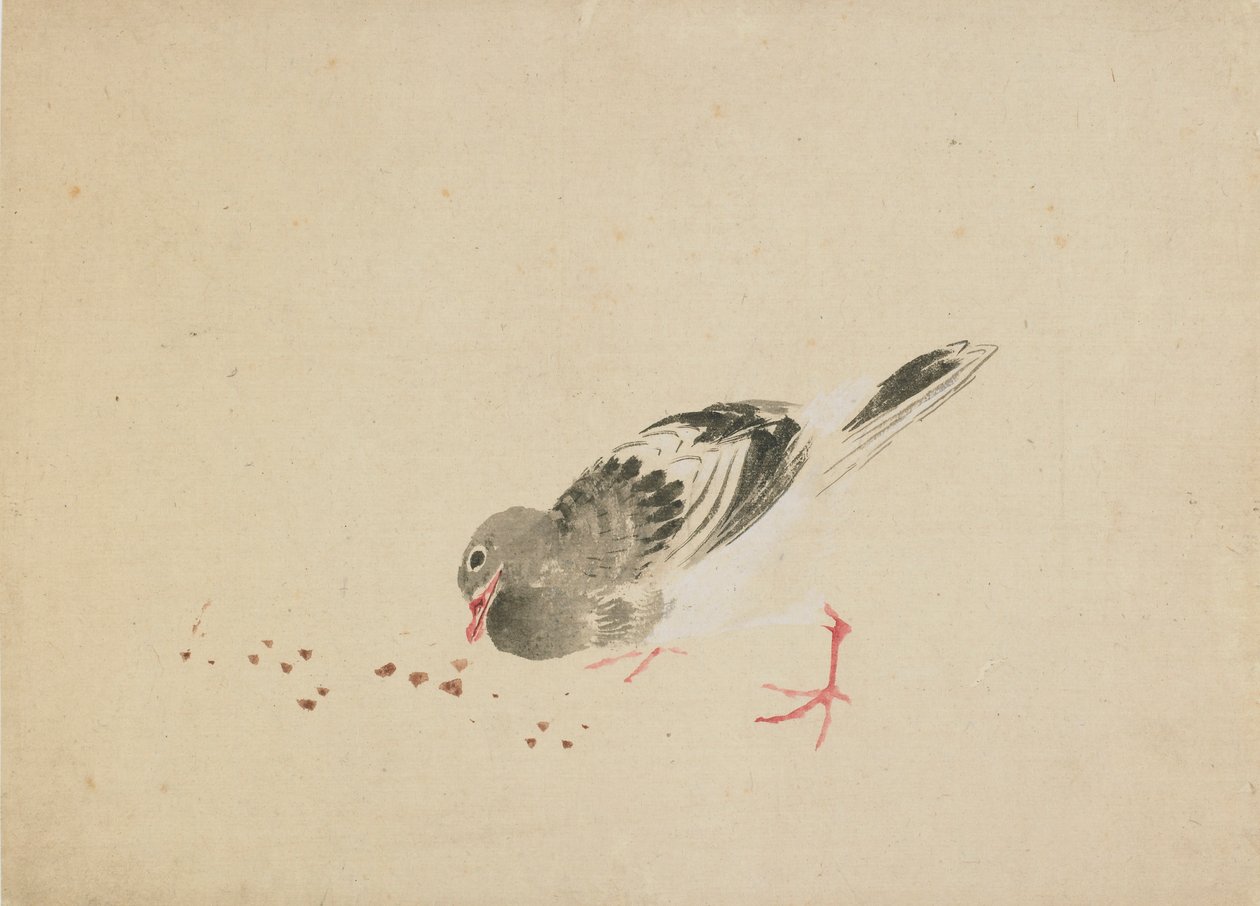 Pombo, final do século 18 e início do século 19. de Katsushika Hokusai