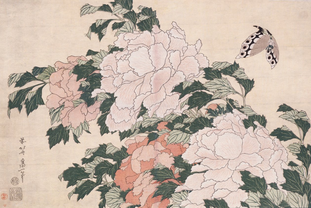 Peônias rosa e vermelhas sopradas para a esquerda em uma brisa e uma borboleta de Katsushika Hokusai