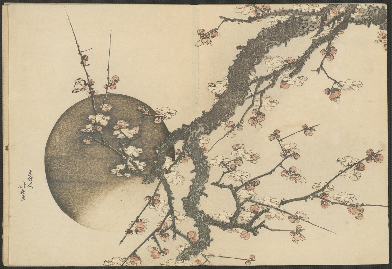 Flor de Ameixoeira e a Lua do Livro Monte Fuji na primavera (Haru no Fuji) de Katsushika Hokusai