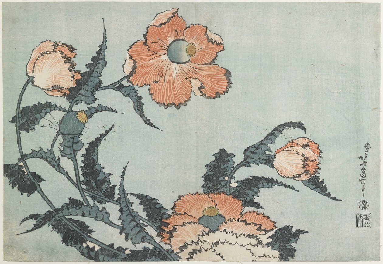 Papoulas, c. 1832 de Katsushika Hokusai