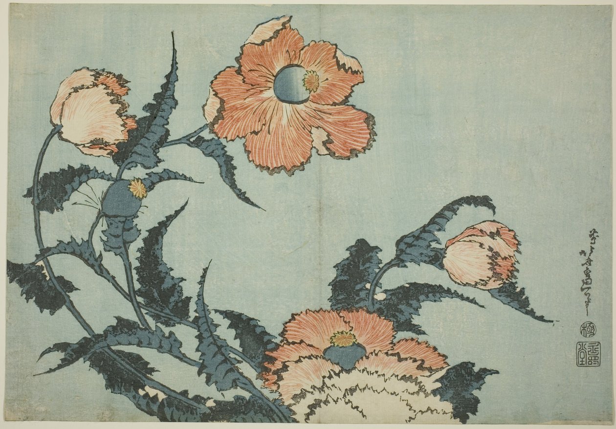 Papoilas, de uma série sem título de flores de Katsushika Hokusai