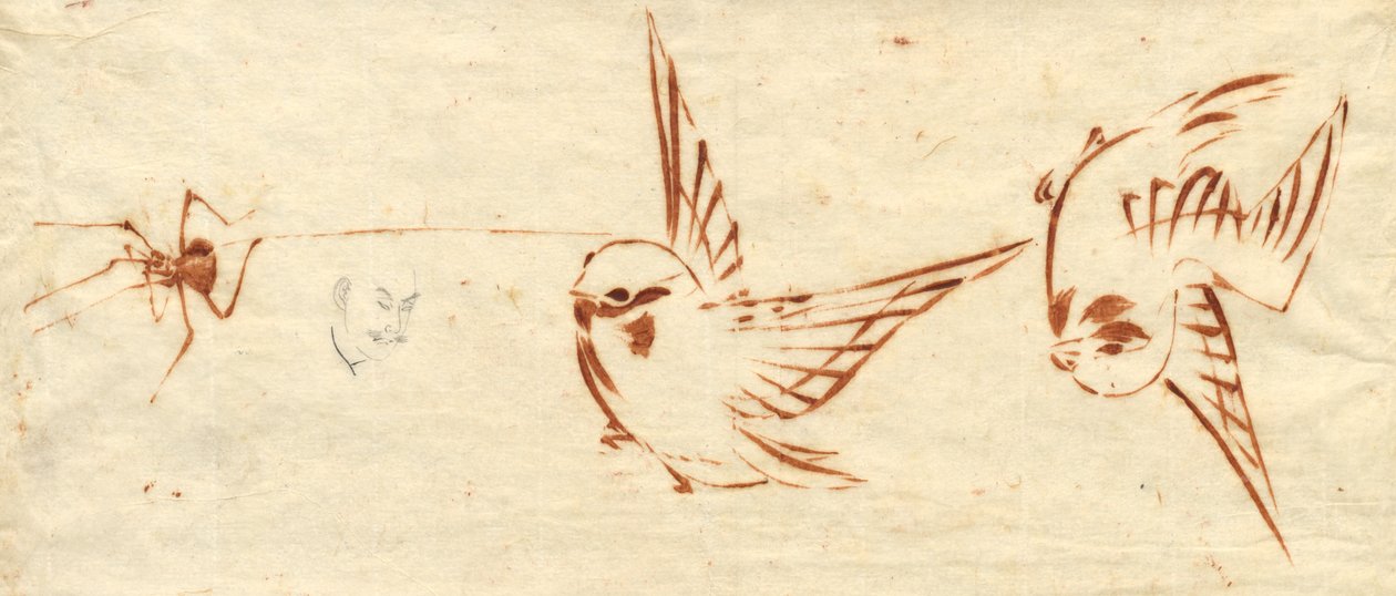 Página de desenho com pássaros e aranha. de Katsushika Hokusai