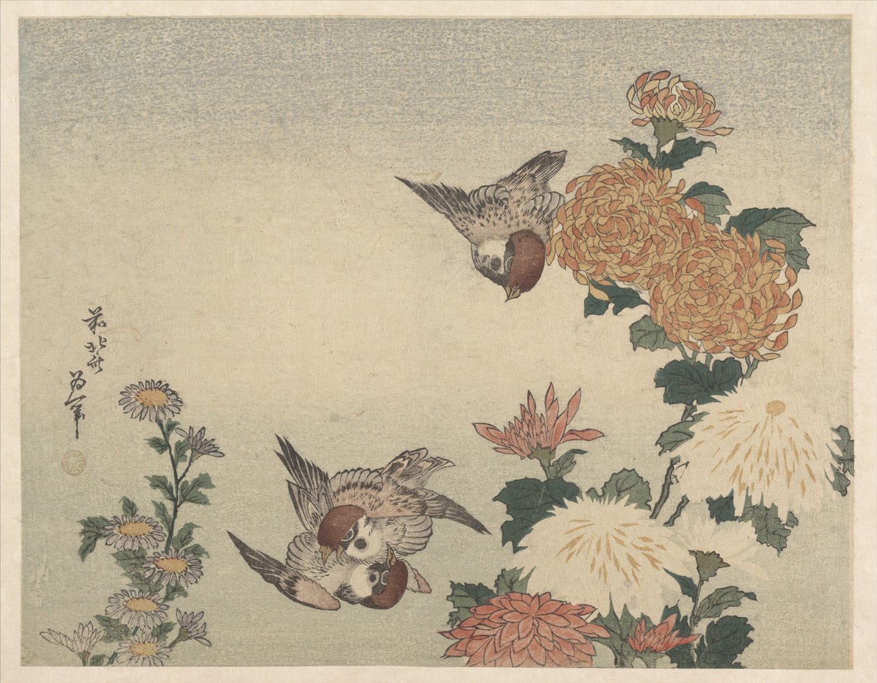 Pardais e crisântemos de Katsushika Hokusai