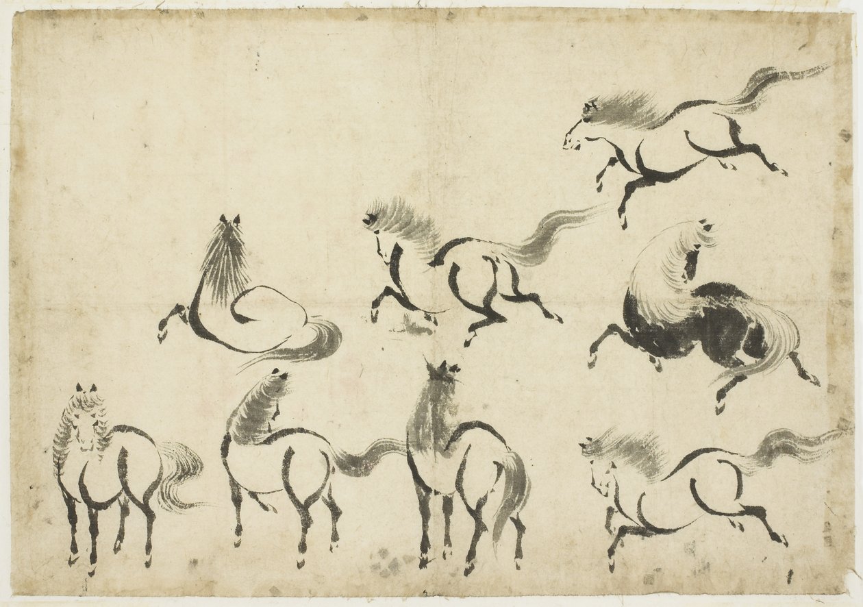 Studies of Horses, c.1815-1849 (tinta no papel) de Katsushika Hokusai