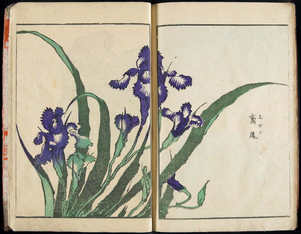 Transmitir o Espírito e Revelar a Forma das Coisas: O Jardim das Imagens de Hokusai, vol. 1 completo de Katsushika Hokusai