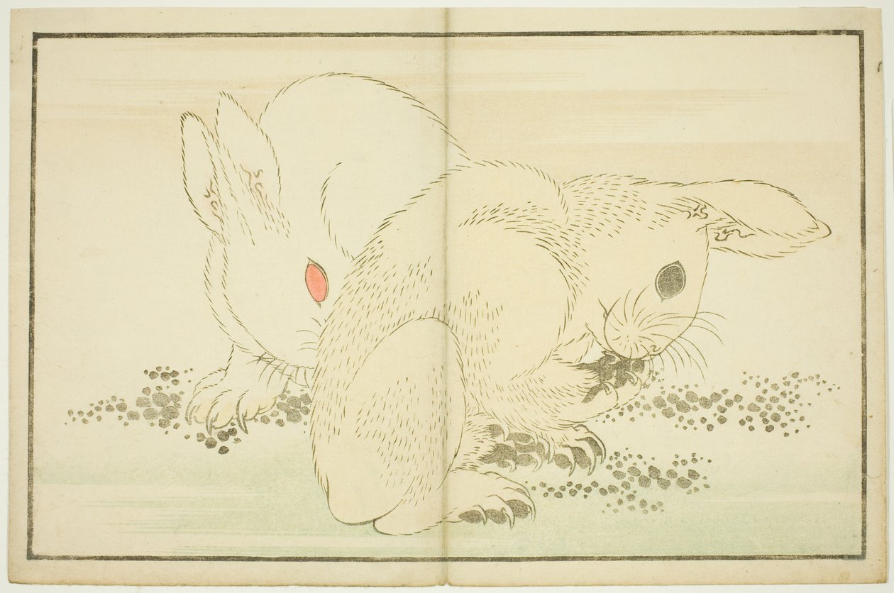 Dois coelhos, do livro ilustrado de pinturas realistas de Hokusai (Hokusai shashin gafu) de Katsushika Hokusai