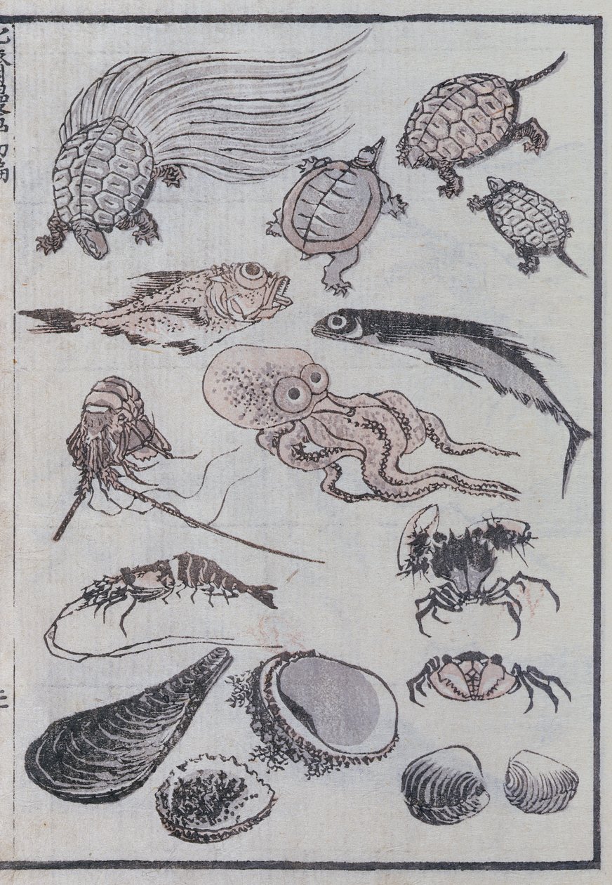 Criaturas submarinas, de um mangá (impressão em xilogravura colorida) de Katsushika Hokusai