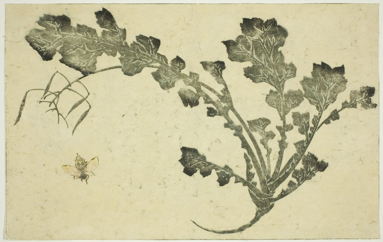 Caule de vespa e nabo, de "O livro ilustrado de pinturas realistas de Hokusai (Hokusai shashin gafu)" de Katsushika Hokusai