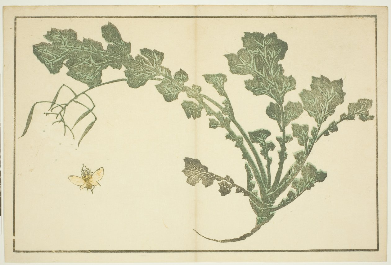 Caule de vespa e nabo, de "O livro ilustrado de pinturas realistas de Hokusai (Hokusai shashin gafu)" de Katsushika Hokusai