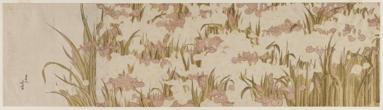 Íris brancas e roxas de Katsushika Hokusai