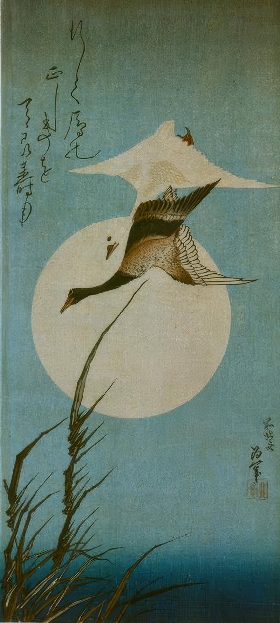 Dois gansos selvagens de Katsushika Hokusai