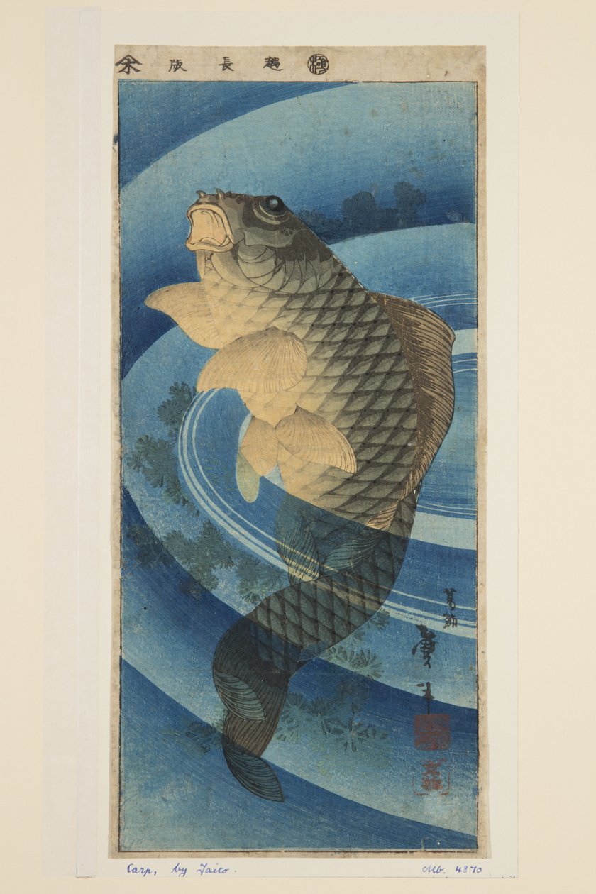 Carpa (impressão em bloco de madeira a cores) de Katsushika II (fl.1820 50) Taito