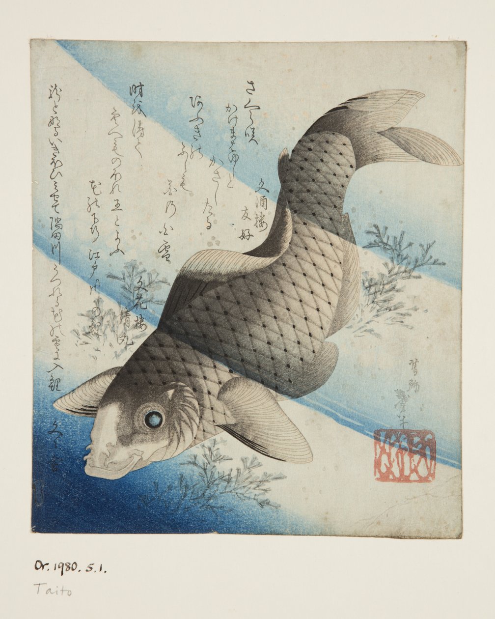Carp in Water (impressão em bloco de madeira a cores) de Katsushika II (fl.1820 50) Taito
