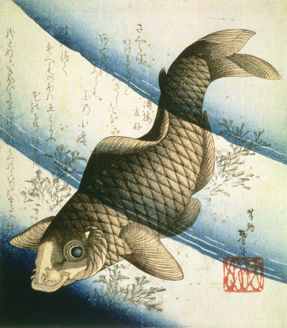 A carpa nadando entre Waterweeds, c.1832 (tinta) de Katsushika II Taito