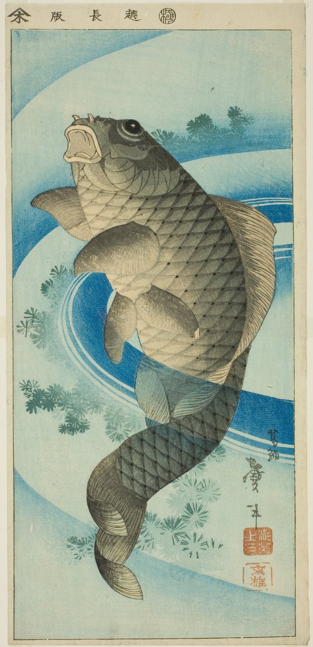 Carpa de Katsushika Taito II