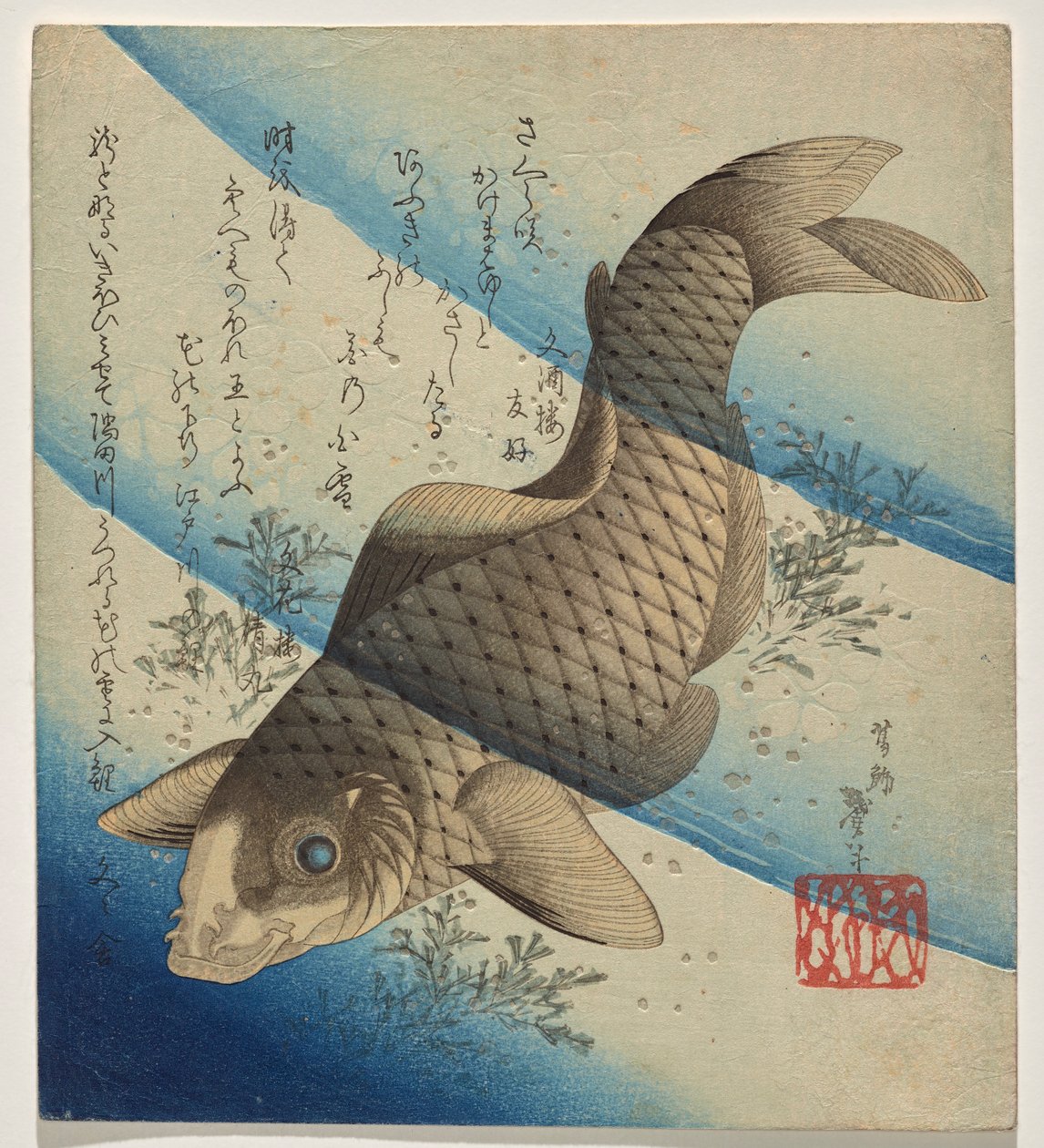 Carpa a nadar em algas marinhas de Katsushika Taito II