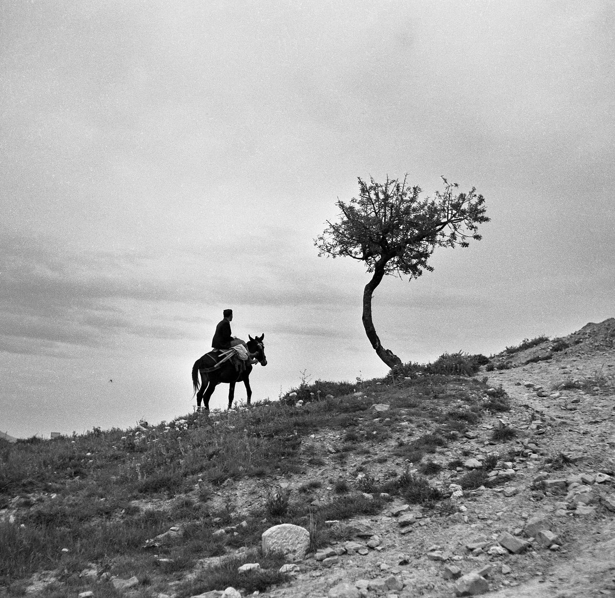 Camponês regressa dos campos, monta uma mula, e o perfil destaca-se contra o céu; apesar de ser um homem monta para a Amazónia de 