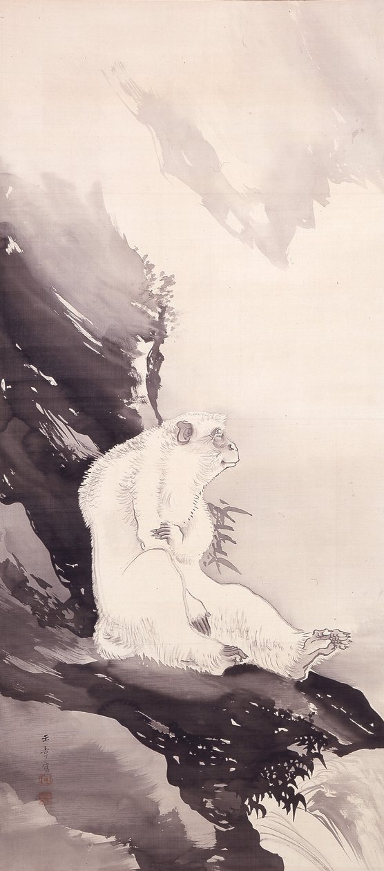 Macaco Branco (tinta sobre seda) de Kawabata Gyokushō