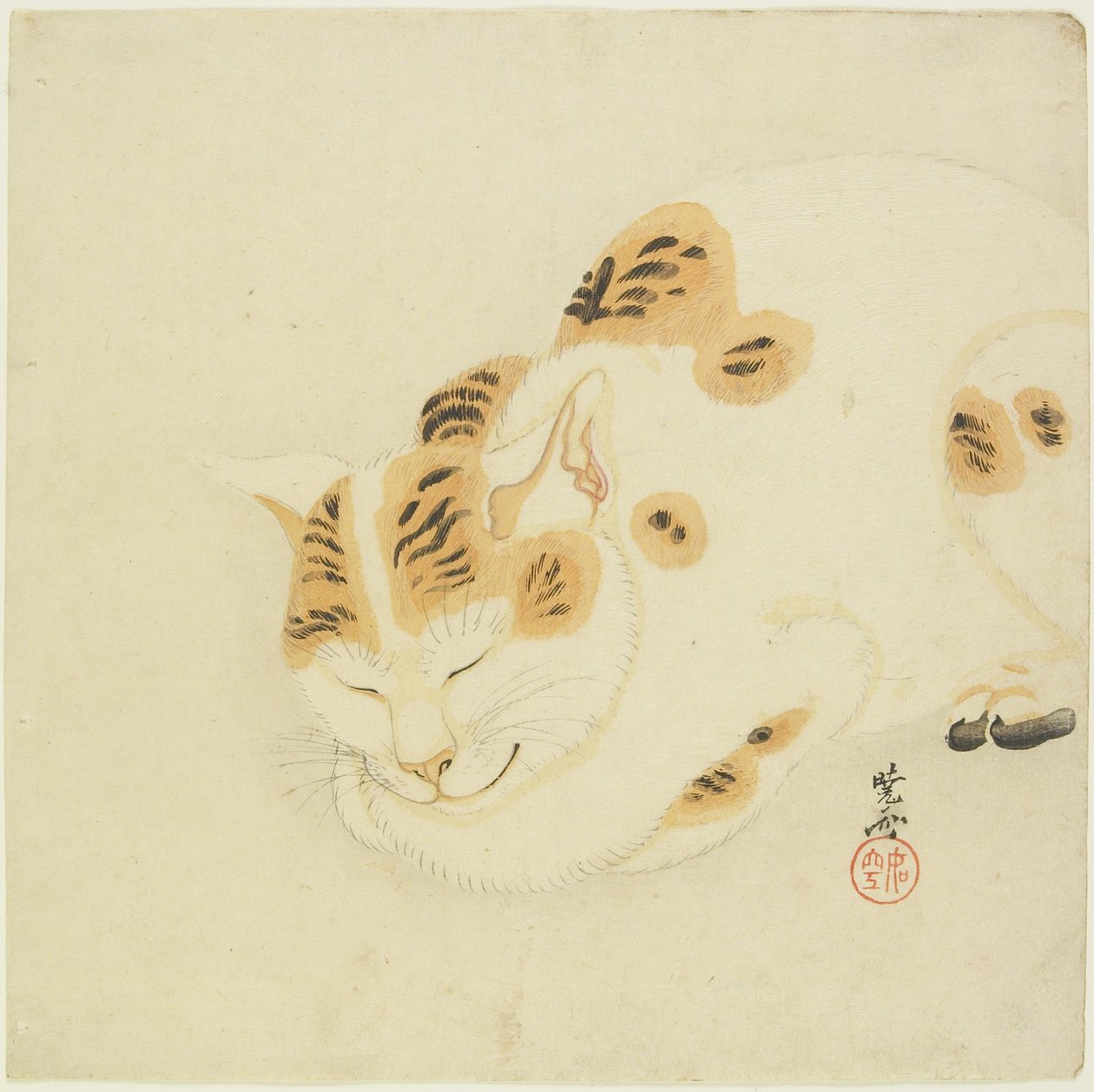 Gato dormindo de Kawanabe Kyosai