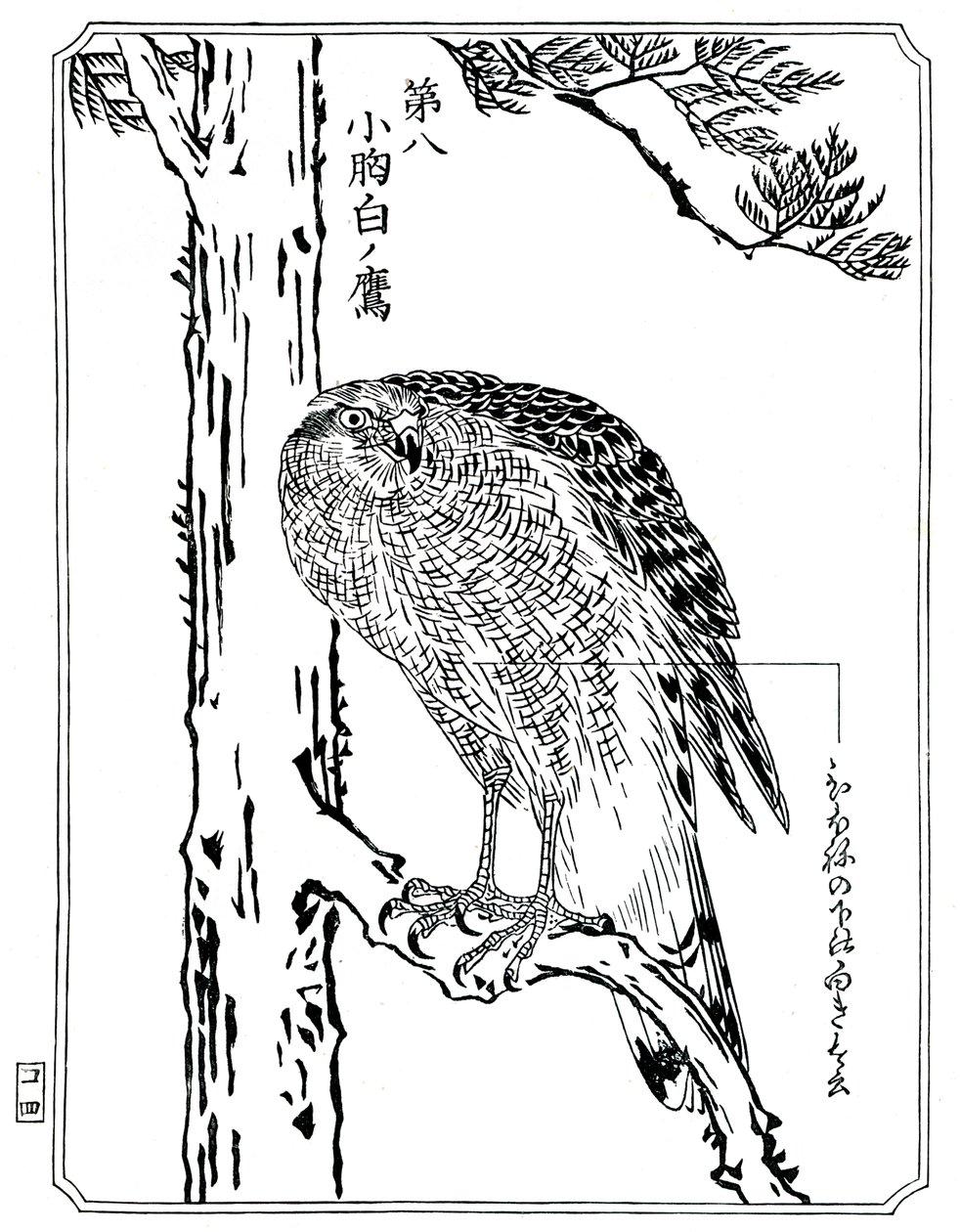 Um falcão, 1898. de Kawanabe Kyosai