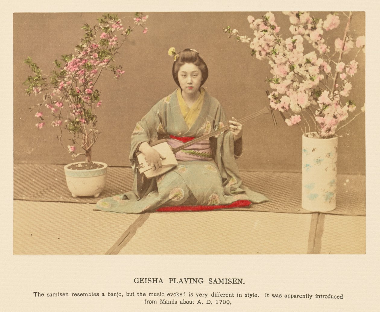 Gueixa a tocar samisen de Kazumasa Ogawa