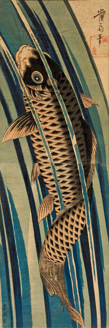 Carpa, ascendendo, um, cachoeira de Keisai Eisen