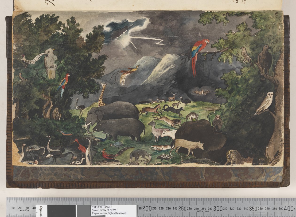 Frontispício: Sem título, Reino pacífico, paisagem com aves e animais de Kenelm Henry Digby