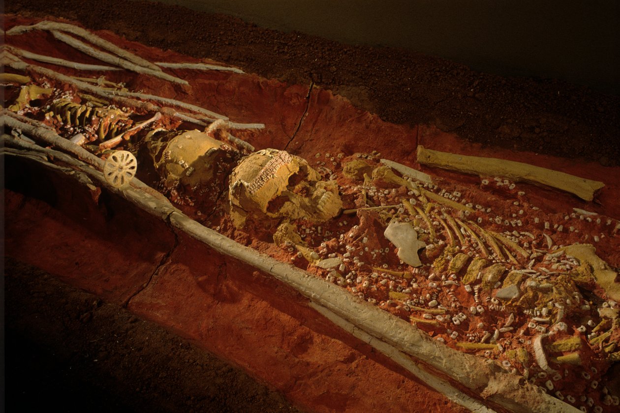 Arqueologia; Hominídeo; Hominídeo; Ev. Humano - Homo sapien Sapiens; Evolução Humana; Gelo A..., 2000 (foto) de Kenneth Garrett