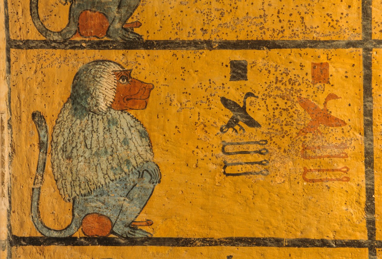 Babuíno, pintura mural no túmulo do rei Tutankhamon; KV52, Vale dos Reis, Tebas,..., 2003 (foto) de Kenneth Garrett