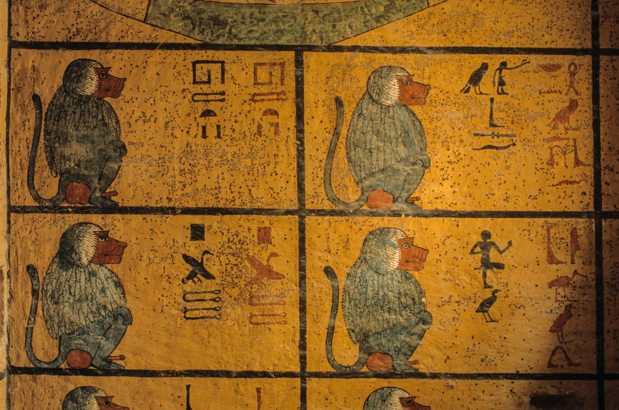Babuínos, pintura mural no túmulo do rei Tutankhamon; KV52, Vale dos Reis, Tebas..., 2003 (foto) de Kenneth Garrett