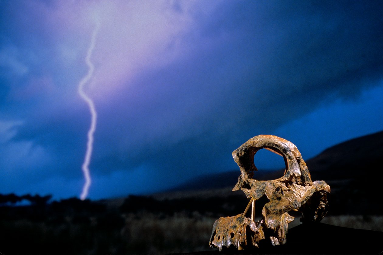 DOH; Os Primeiros Passos, Crânio Quebrado, STW 847, Relâmpago, High veld, Swartkrans, África do Sul, 2008 (foto) de Kenneth Garrett