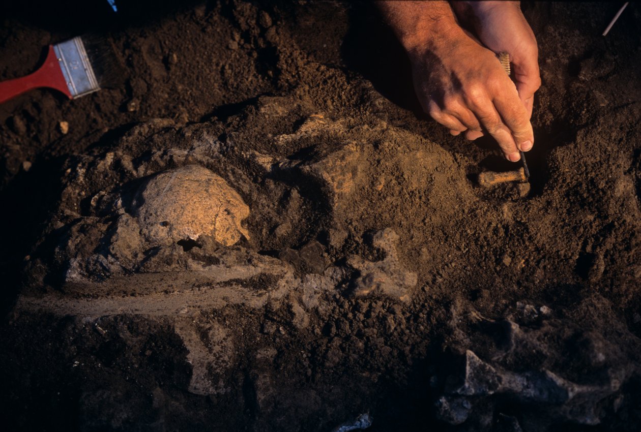 Dmanisi, Geórgia, David Lordkipanidze, Homo Erectus de Kenneth Garrett