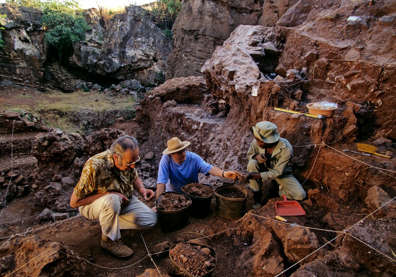 Sítio Drimolean, perto de Joanesburgo, África do Sul, hominídeo com 2 milhões de anos de Kenneth Garrett