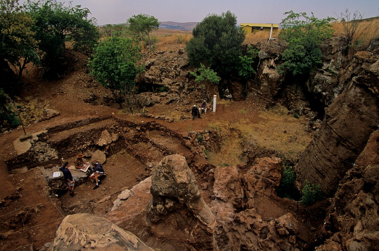 Sítio Drimolean, perto de Joanesburgo, África do Sul, hominídeo com 2 milhões de anos, de Kenneth Garrett
