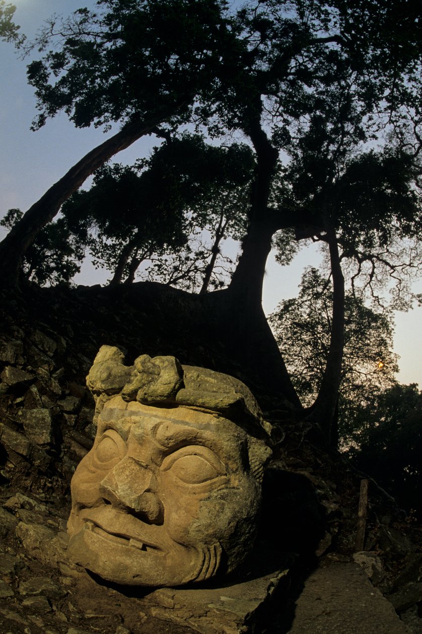 Deus N, árvore de Ceiba, templo, maias, Copan, Honduras, período clássico de Kenneth Garrett