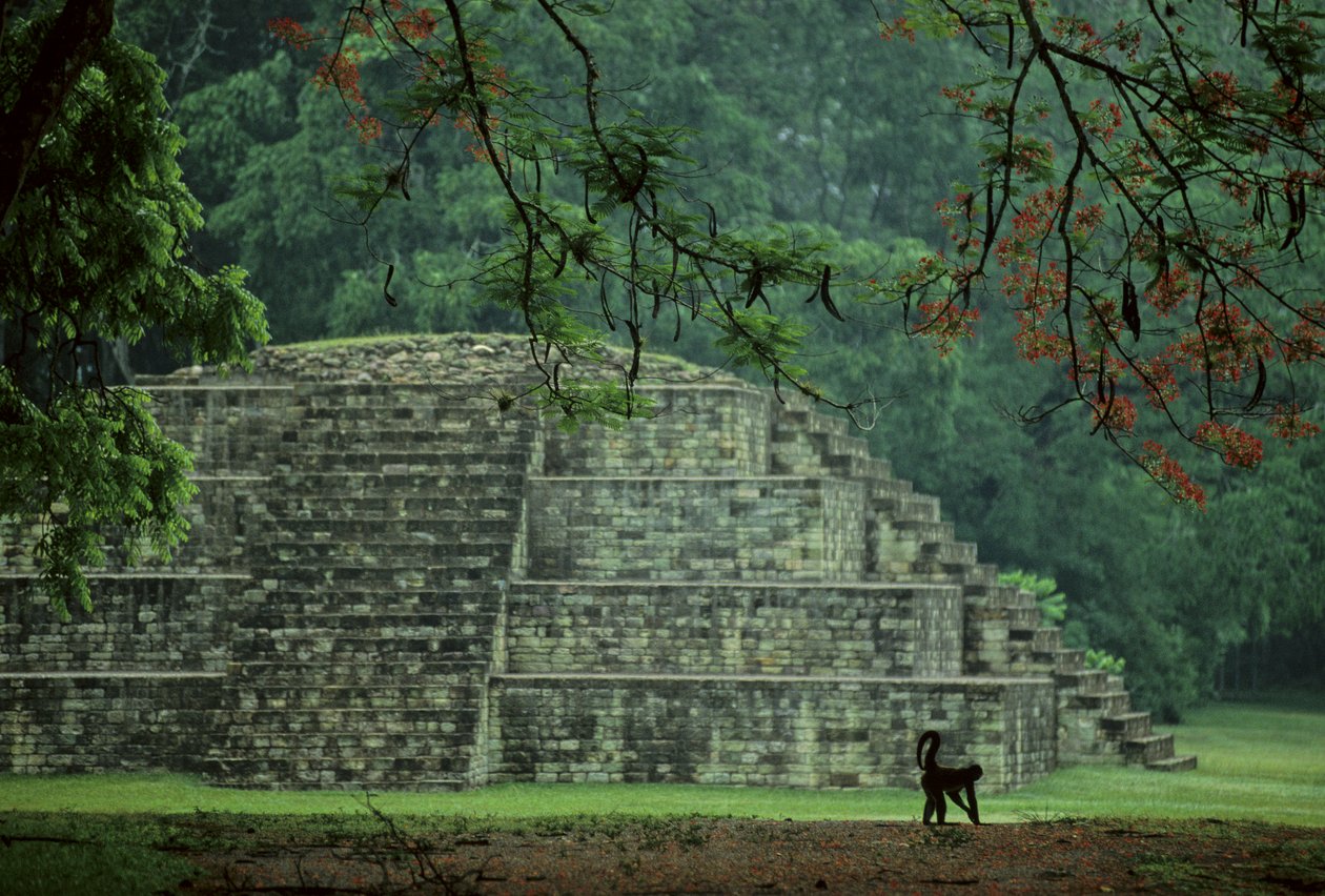 Honduras; Copan; Maya de Kenneth Garrett