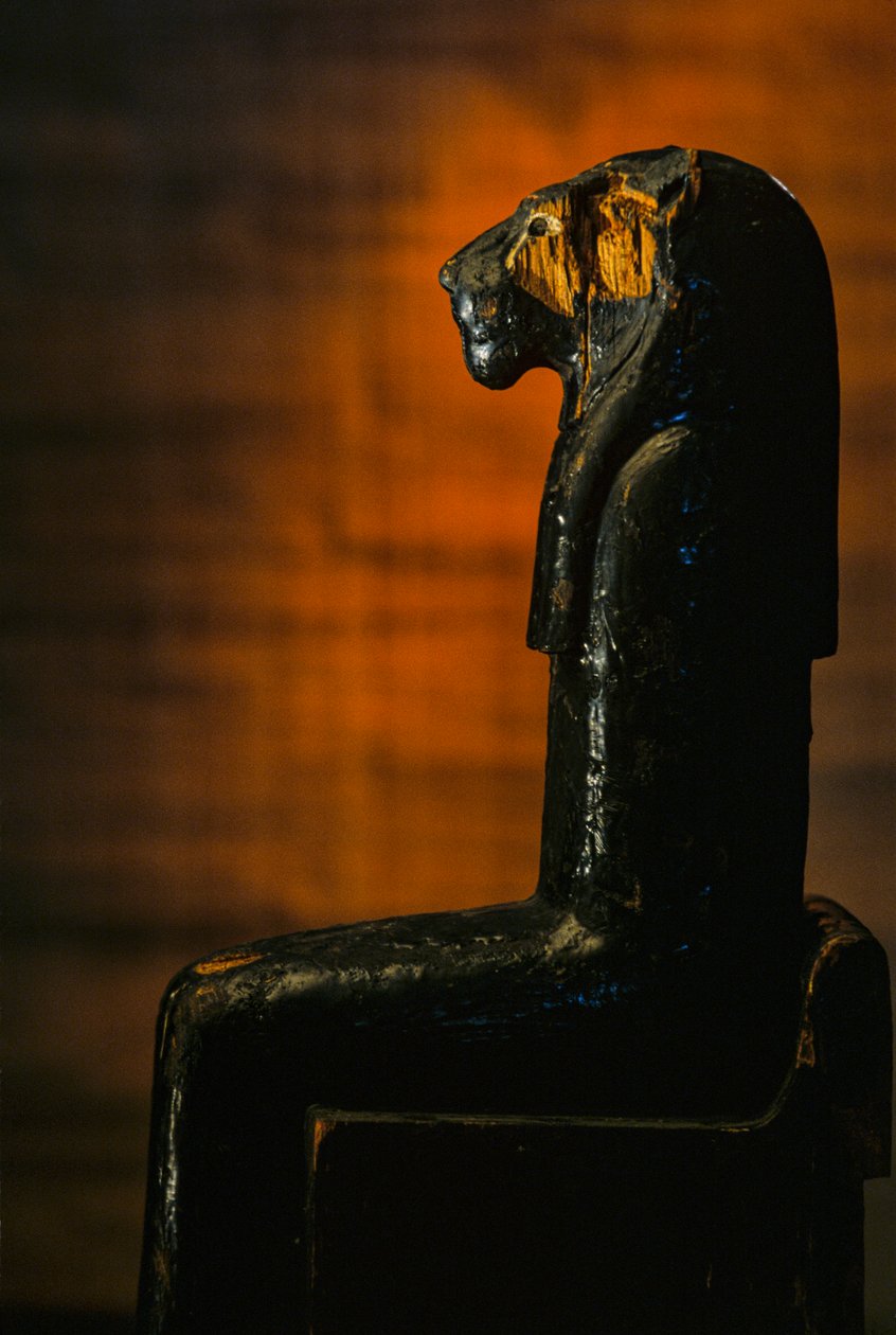 Estátua da Deusa Leonina, Amenhotep II; Deusa Leonina; KV 35; Madeira, 2009 (foto) de Kenneth Garrett