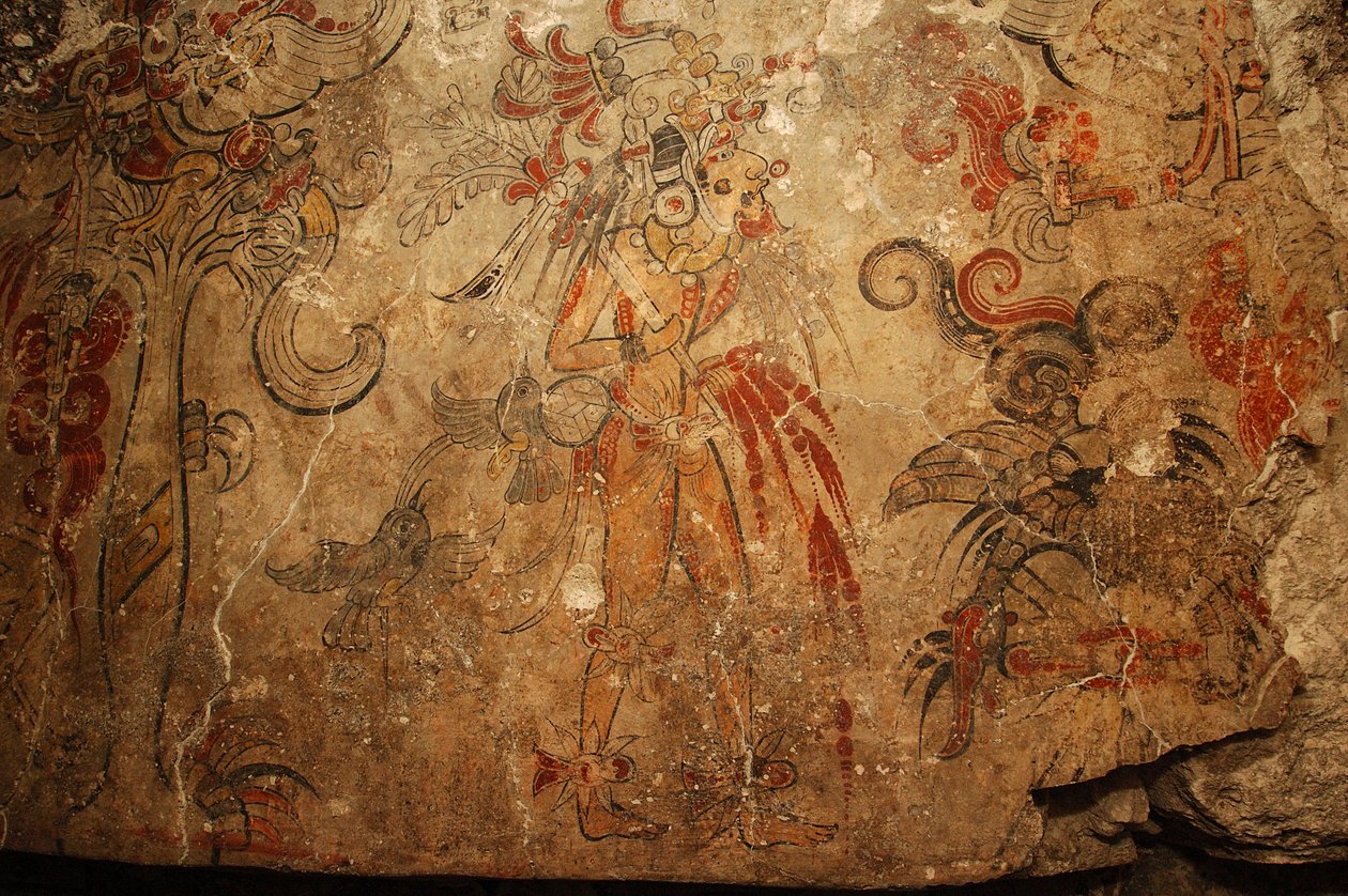 Maya; Murais Maya; San Bartolo; Guatemala; Dr. Bill Saturno, 2005 (foto) de Kenneth Garrett