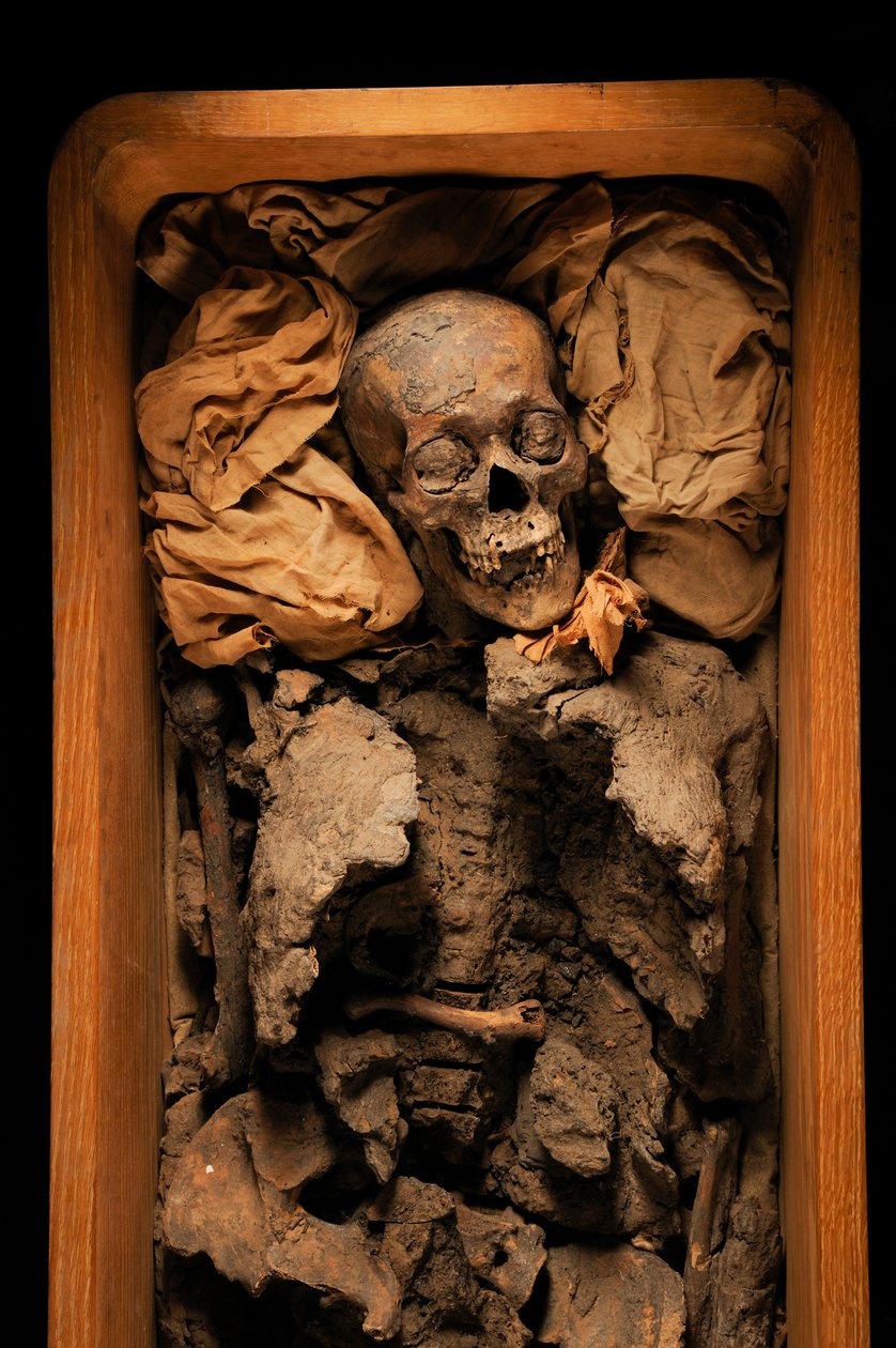 Múmia de Amenhotep III, avô do rei Tut, KV 35, Tutankhamun; 18ª Dinastia; Nova..., 2005 (foto) de Kenneth Garrett