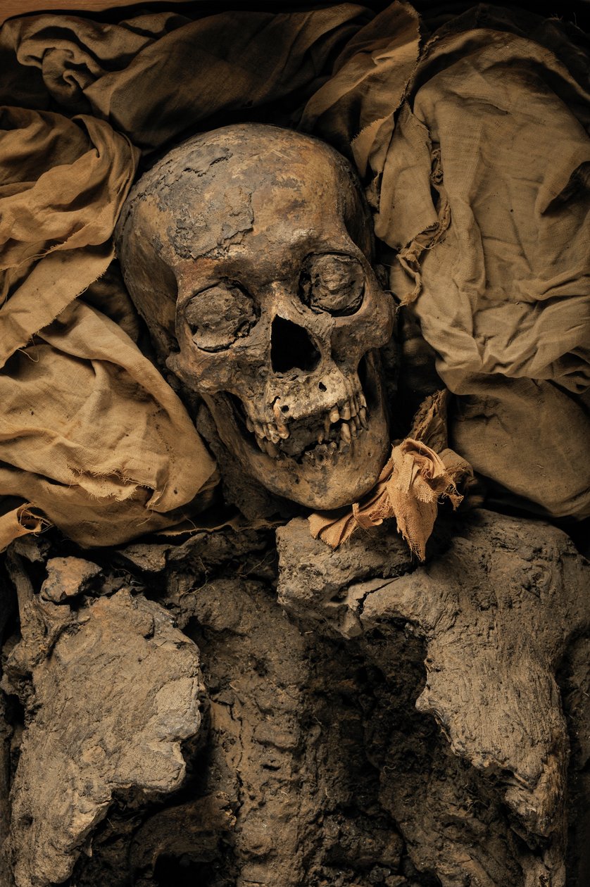 Múmia de Amenhotep III, avô do rei Tut, KV 35, Tutankhamun; 18ª Dinastia; Nova..., 2005 (foto) de Kenneth Garrett