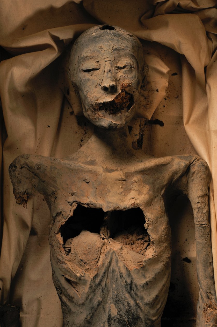 Múmia da mãe do Rei Tut (conhecida como a Senhora mais nova) de Kenneth Garrett