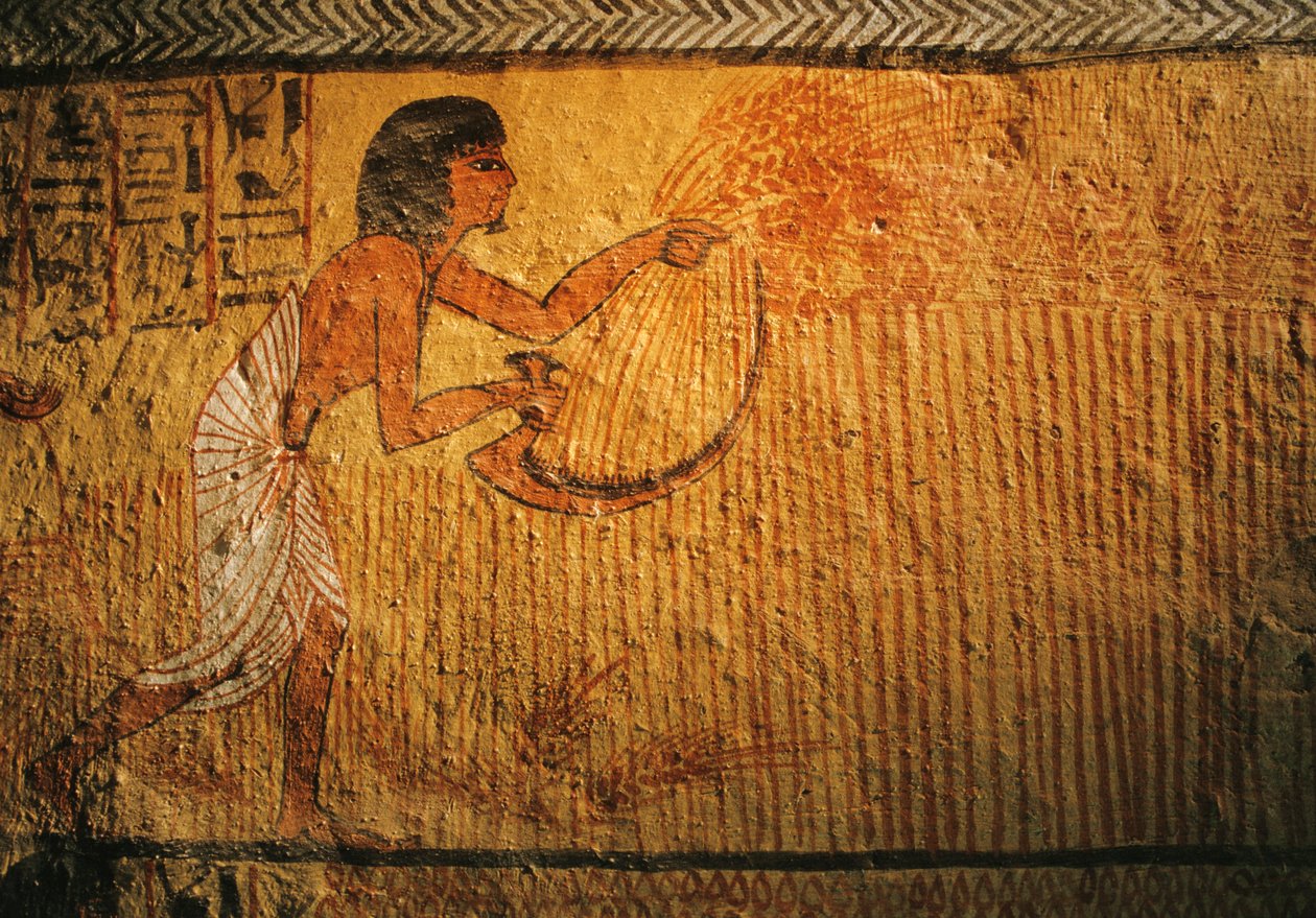 Pintura da ceifa do trigo, Túmulo de Sennedjem, Deir el Medina, 2003 (foto) de Kenneth Garrett