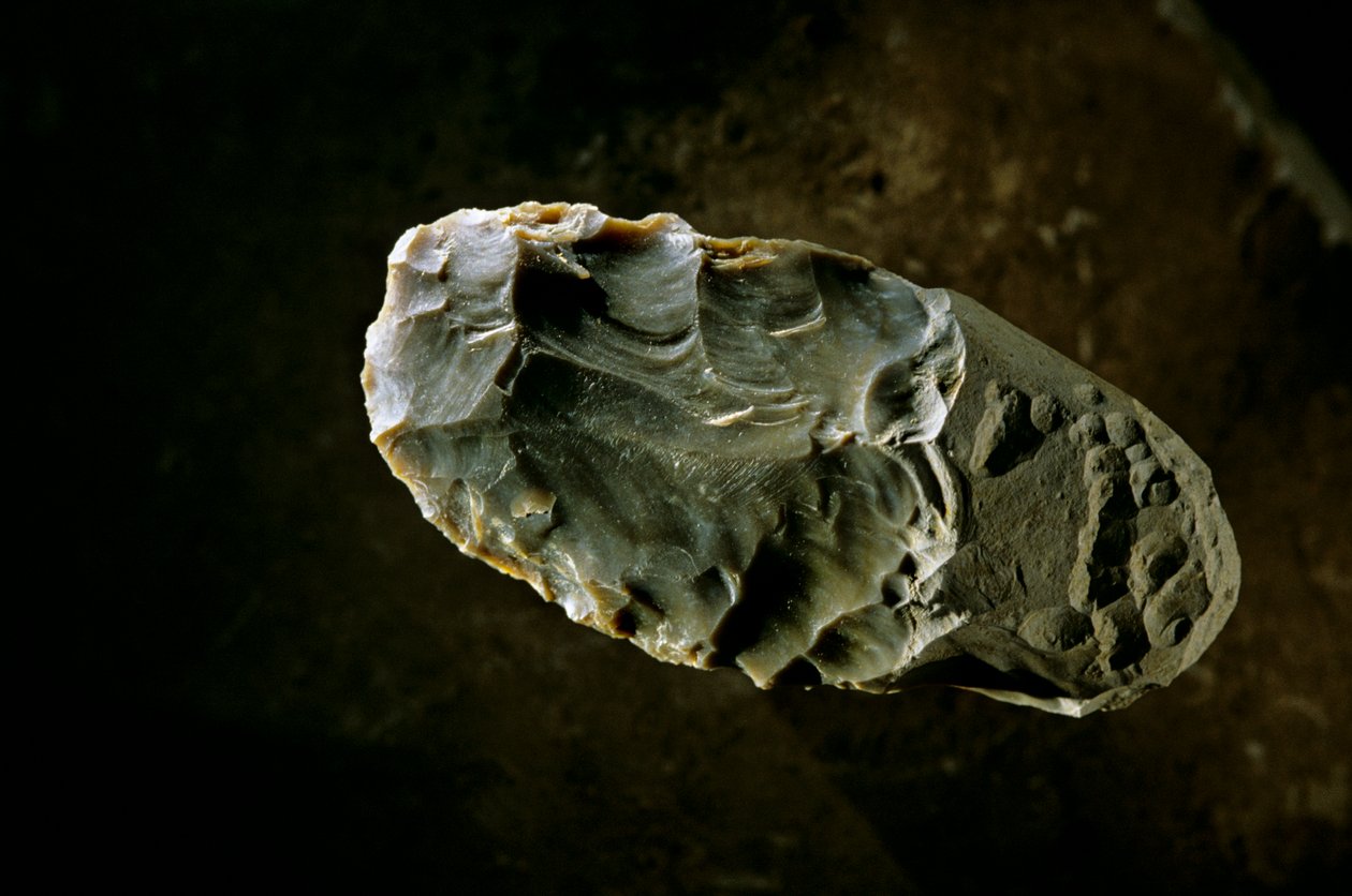 Peopling the Americas, Stone Axe, sítio Gault, Texas, América, 2000 (foto) de Kenneth Garrett