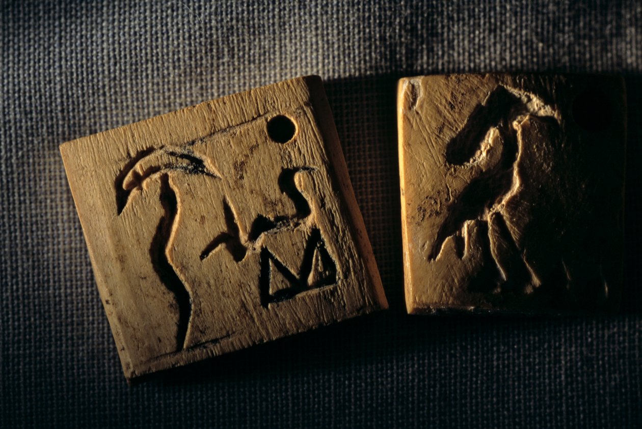 Etiqueta de marfim pré-dinástica, escrita mais antiga, Dr. Gunter Dreyer, Egipto, 2005 (foto) de Kenneth Garrett