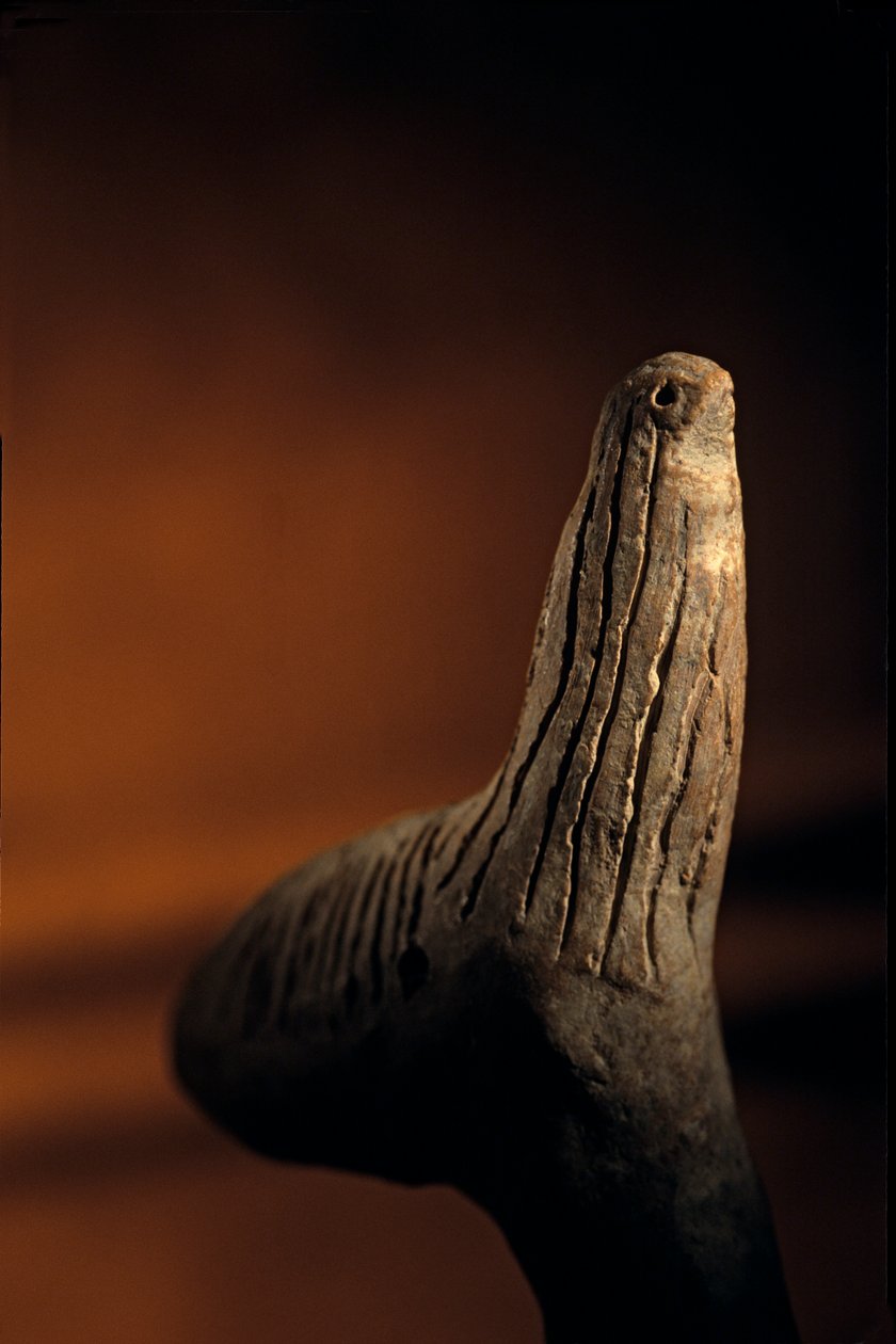Urkesh; Hurrian; Império; Síria; 2400 a.C.; Giorgio Buccellati; Arqueologia; EAME, artif..., 2004 (foto) de Kenneth Garrett